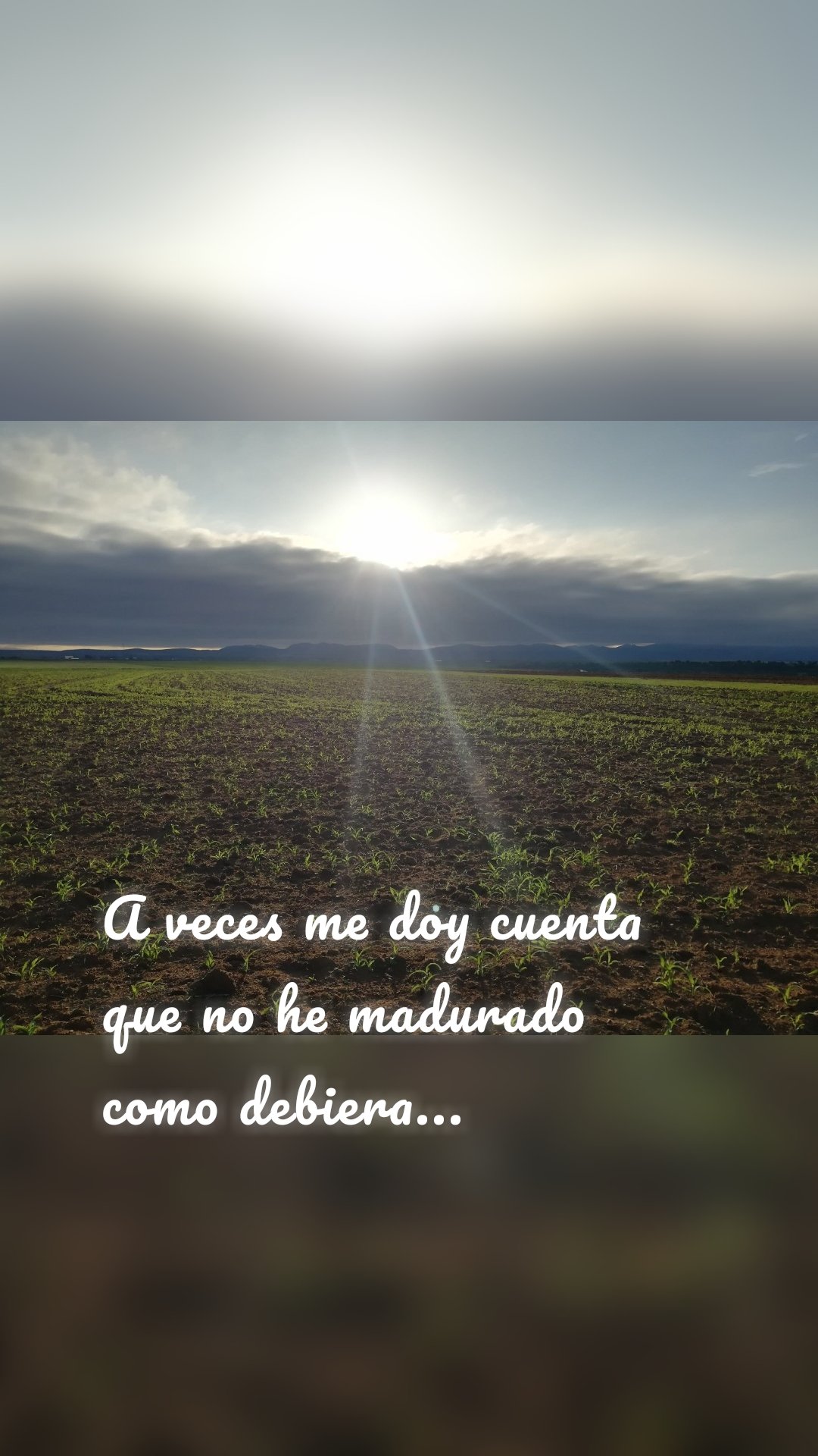 





A veces me doy cuenta que no he madurado como debiera...